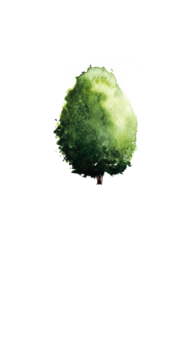 /upload/IMMAGINI SITI WEB/DAM/5_AZIENDA/2_COLOR WORLD/6_COLOR GREEN/M_MODULO 123 POSTER_corretto.png